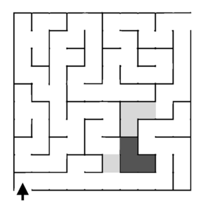 Second maze